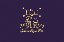 GEMINI LUNA FITS