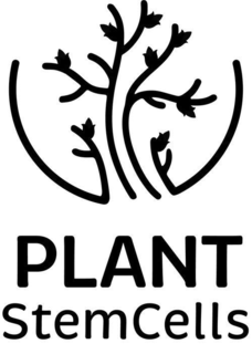 PLANT STEM CELLS
