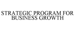STRATEGIC PROGRAM FOR BUSINESS GROWTH