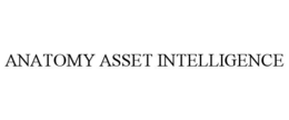 ANATOMY ASSET INTELLIGENCE