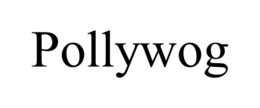 POLLYWOG