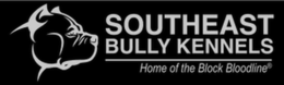 SOUTHEAST BULLY KENNELS HOME OF THE BLOCK BLOODLINE