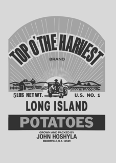 TOP O’THE HARVEST BRAND 5LBS NET WT. U.S. NO. 1 LONG ISLAND POTATOES GROWN AND PACKED BY JOHN HOSHYLA MANORVILLE, N.Y. 11949
