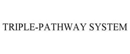 TRIPLE-PATHWAY SYSTEM