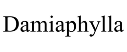 DAMIAPHYLLA