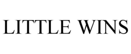 LITTLE WINS