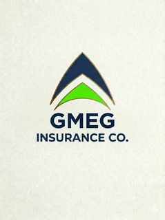 GMEG INSURANCE CO.