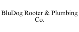 BLUDOG ROOTER & PLUMBING CO.