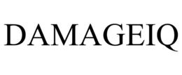 DAMAGEIQ