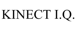 KINECT I.Q.