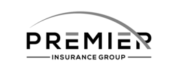PREMIER INSURANCE GROUP