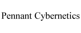 PENNANT CYBERNETICS