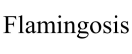 FLAMINGOSIS