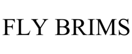 FLY BRIMS