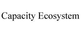 CAPACITY ECOSYSTEM
