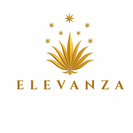ELEVANZA