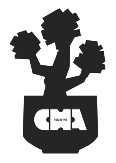 CR BRANDS INNOVATION LLC