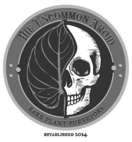 THE UNCOMMON AROID RARE PLANT PURVEYORS ESTABLISHED 2024