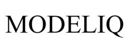 MODELIQ