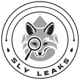 SLY LEAKS
