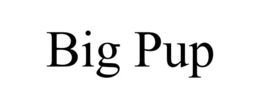 BIG PUP