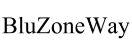 BLUZONEWAY