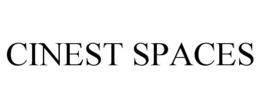 CINEST SPACES