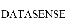 DATASENSE