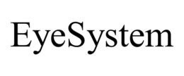 SYSTEM 595 INC logo