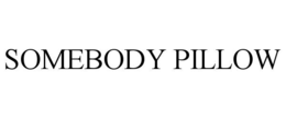 SOMEBODY PILLOW