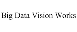 BIG DATA VISON WORKS