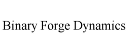 BINARY FORGE DYNAMICS
