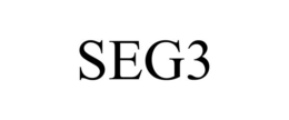 SEG3