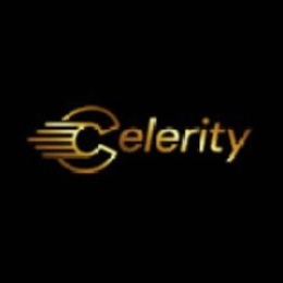 CELERITY LLC