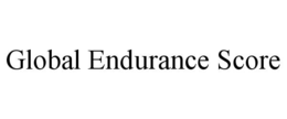 GLOBAL ENDURANCE SCORE