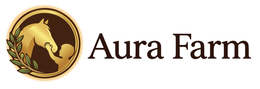 AURA FARM