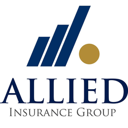 ALLIED INSURANCE GROUP
