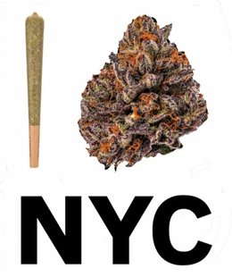 CANNABIS NYC