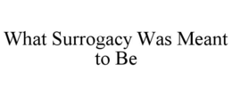 WHAT SURROGACY WAS MEANT TO BE