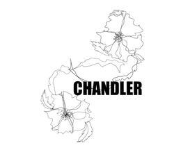 CHANDLER
