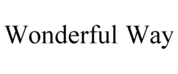 WONDERFUL WAY