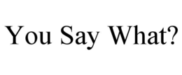 YOU SAY WHAT?