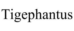 TIGEPHANTUS