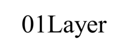 01LAYER