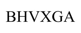 BHVXGA