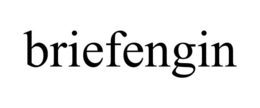 BRIEFENGIN