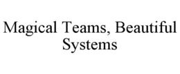 MAGICAL TEAMS, BEAUTIFUL SYSTEMS