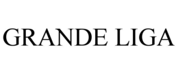 GRANDE LIGA