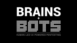 BRAINS + BOTS HUMAN-LED-AI-POWERED PENTESTING