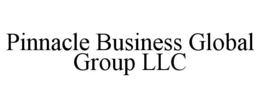 PINNACLE BUSINESS GLOBAL GROUP LLC